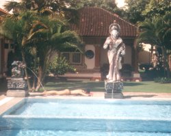 BaliBoyne.com Bungalow & pool
