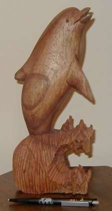dolphin