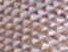 komodo dragon wood texture
